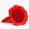 50 Red Roses Bouquet
