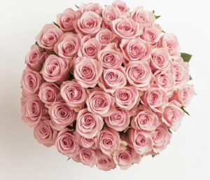 50 Pink Roses Bouquet