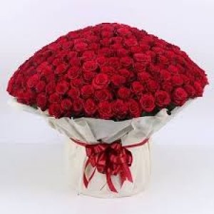 250 Fresh Red Roses Bouquet