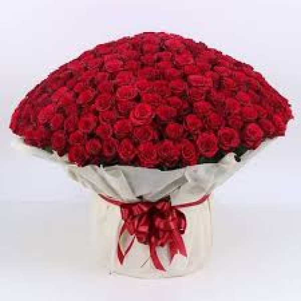 250 Fresh Red Roses Bouquet