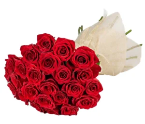 24 Red Roses Bouquet